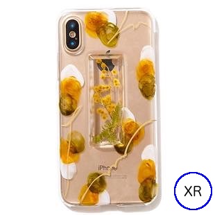 [アプレラプリュイ]植物標本×pallet/ミモザ for iPhone XR