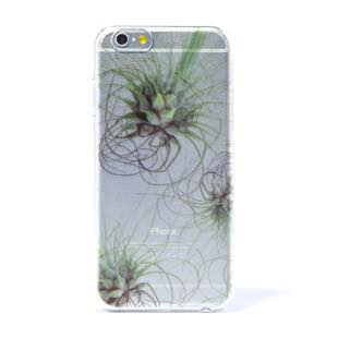 植物 Terrarium collection ティランジア・アルゲンティア for iPhone 6/6s