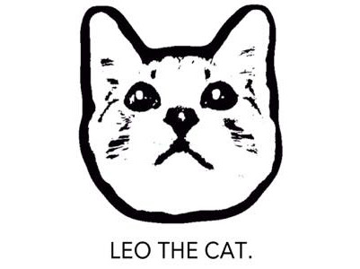 LEO THE CAT.